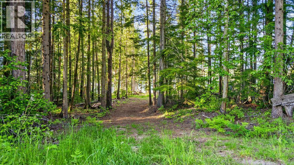 Rock Island Road Lot# 18, Arrow Park, British Columbia  V0G 1R1 - Photo 5 - 10388510