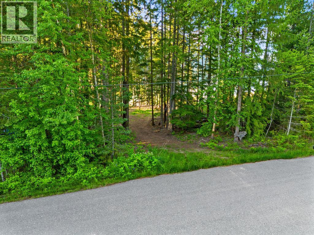 Rock Island Road Lot# 18, Arrow Park, British Columbia  V0G 1R1 - Photo 6 - 10388510