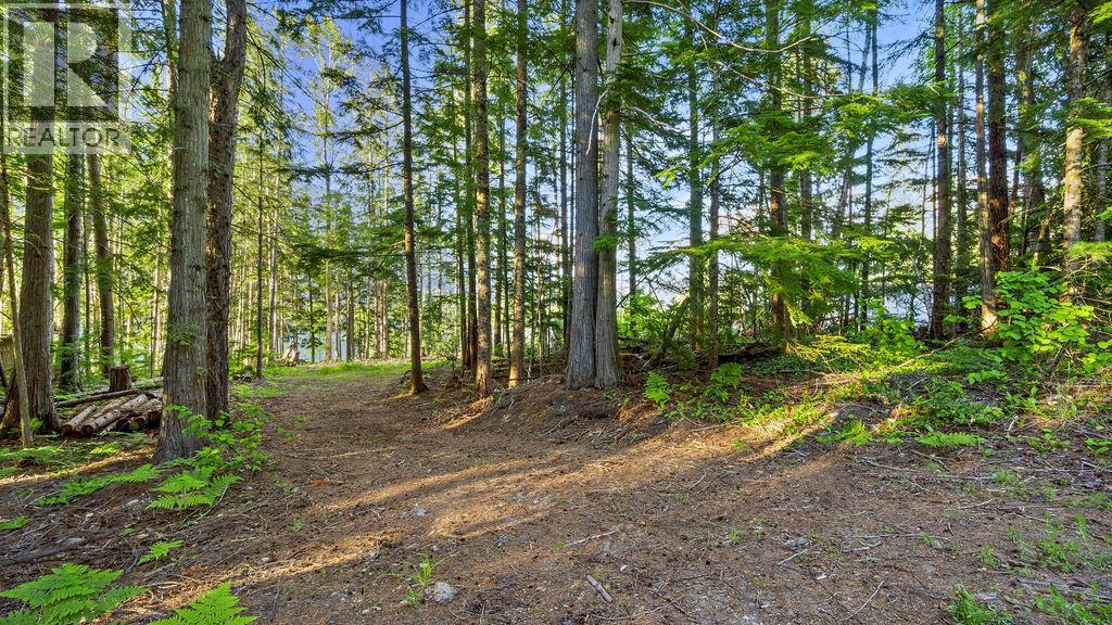 Rock Island Road Lot# 18, Arrow Park, British Columbia  V0G 1R1 - Photo 7 - 10388510