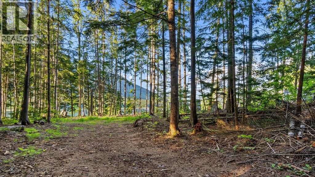 Rock Island Road Lot# 18, Arrow Park, British Columbia  V0G 1R1 - Photo 8 - 10388510