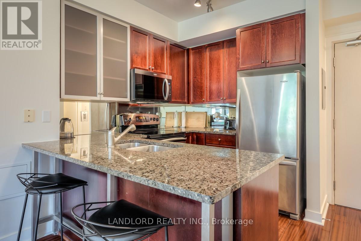 202 - 438 King Street W, Toronto, Ontario  M5V 3T9 - Photo 8 - C13164092
