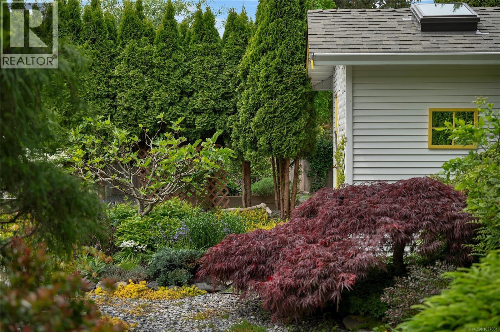 658 Windsor Pl, Campbell River, British Columbia  V9W 7Y6 - Photo 38 - 1037801