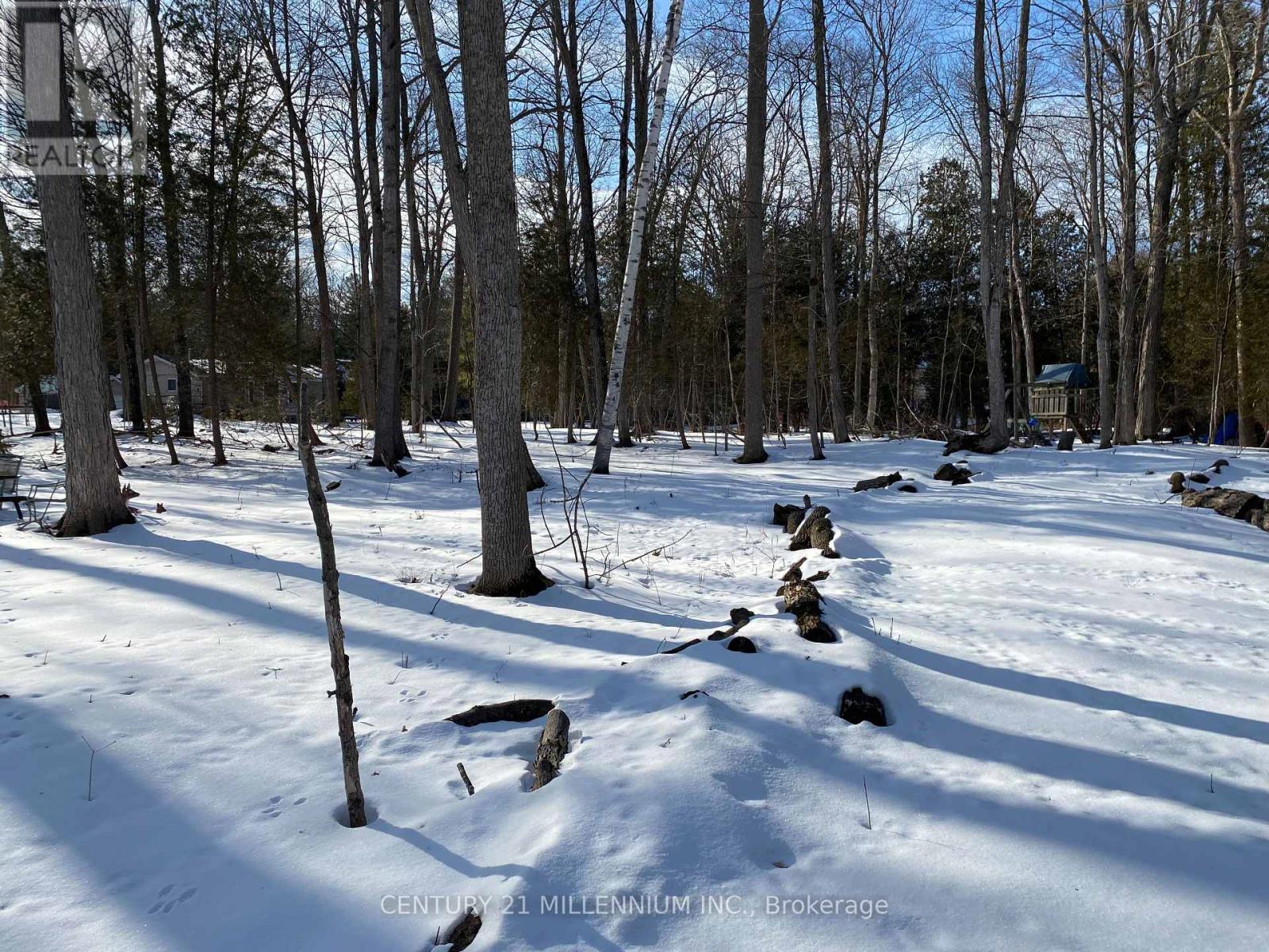11 Knox Road E, Wasaga Beach, Ontario  L9Z 2T6 - Photo 24 - S13164158