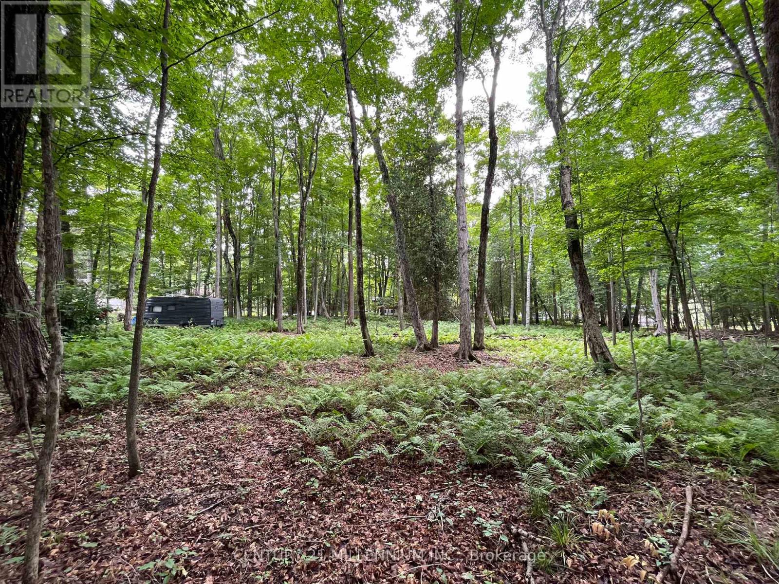 11 Knox Road E, Wasaga Beach, Ontario  L9Z 2T6 - Photo 31 - S13164158