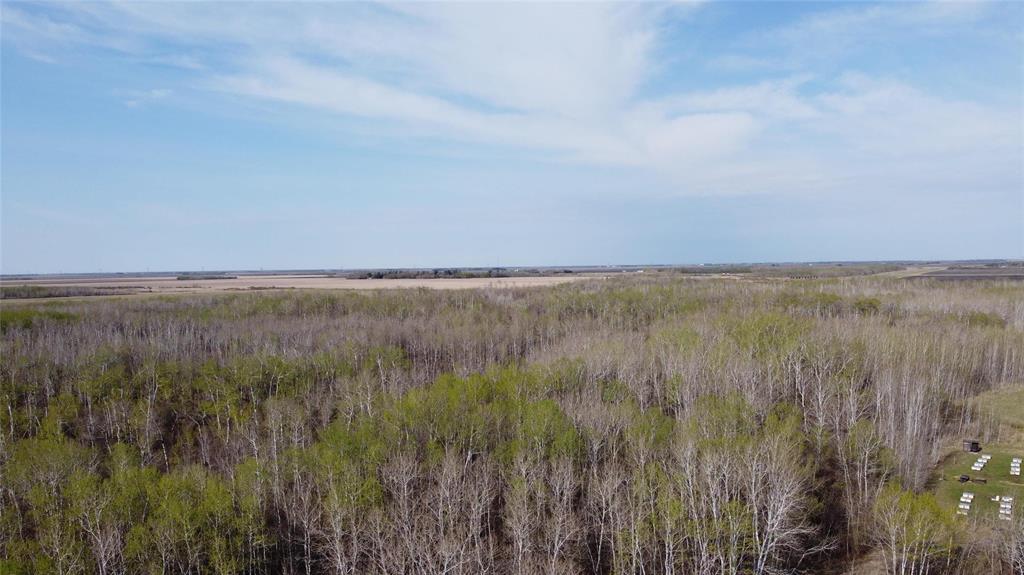 57046 Pth 12 Highway, Anola, Manitoba  R5L 0G4 - Photo 16 - 202611437