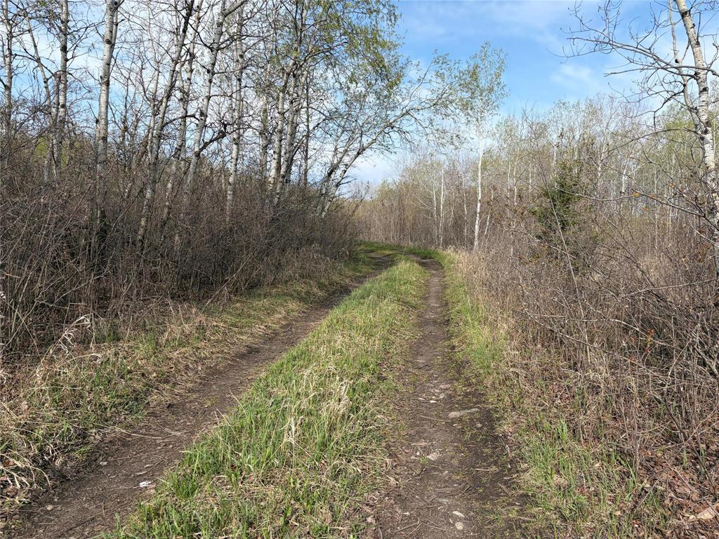 57046 Pth 12 Highway, Anola, Manitoba  R5L 0G4 - Photo 2 - 202611437
