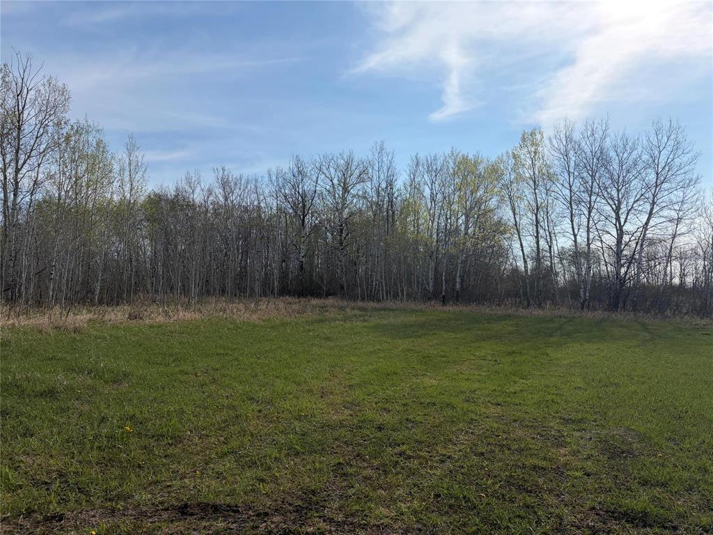 57046 Pth 12 Highway, Anola, Manitoba  R5L 0G4 - Photo 3 - 202611437