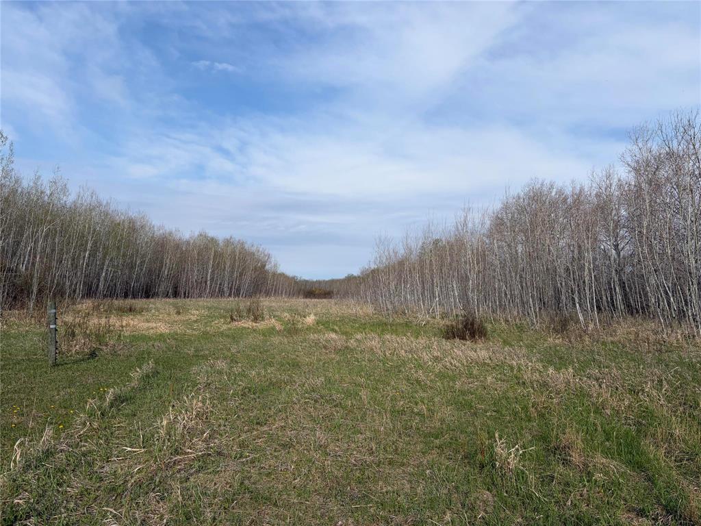 57046 Pth 12 Highway, Anola, Manitoba  R5L 0G4 - Photo 4 - 202611437