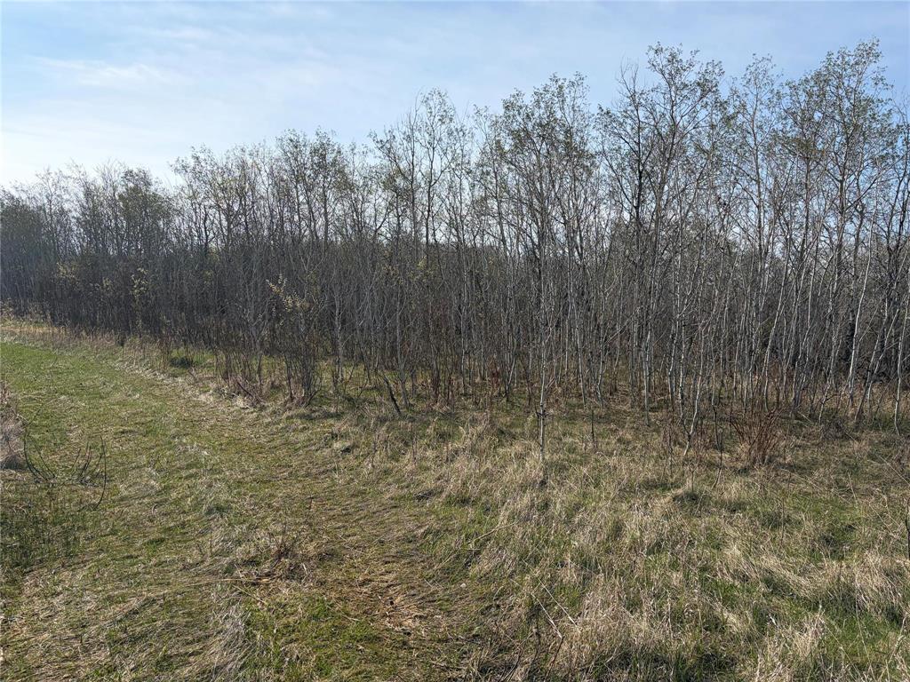 57046 Pth 12 Highway, Anola, Manitoba  R5L 0G4 - Photo 5 - 202611437