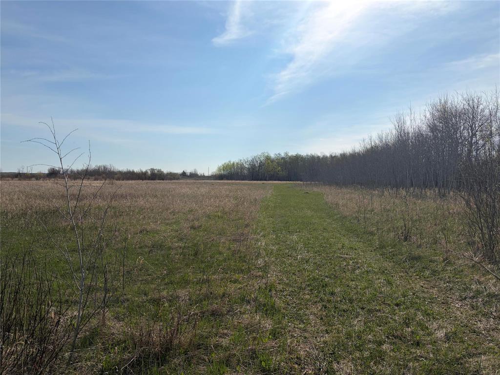 57046 Pth 12 Highway, Anola, Manitoba  R5L 0G4 - Photo 6 - 202611437