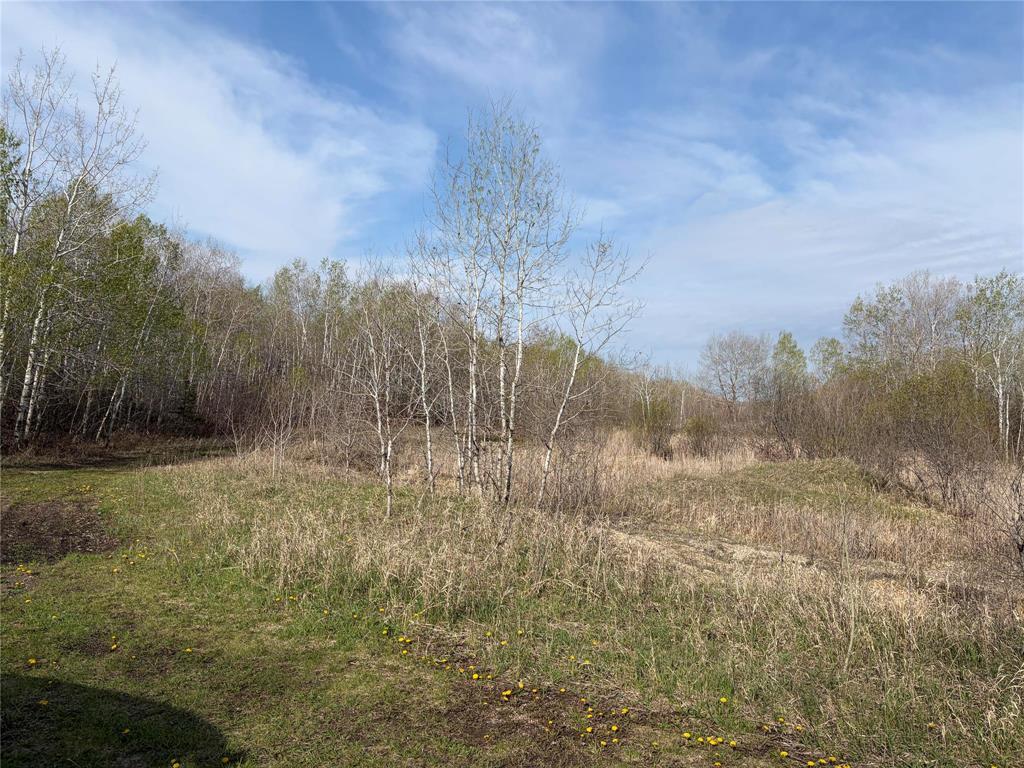 57046 Pth 12 Highway, Anola, Manitoba  R5L 0G4 - Photo 7 - 202611437