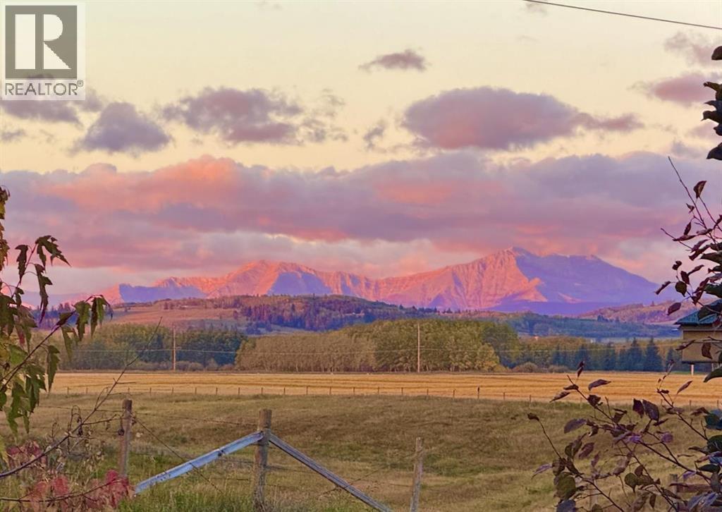 283 Willow Ridge Manor, Diamond Valley, Alberta  T0L 0H0 - Photo 44 - A2313366