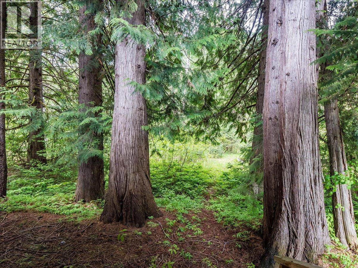 216 Porcupine Creek Road, Ymir, British Columbia  V0G 2K0 - Photo 59 - 10388117