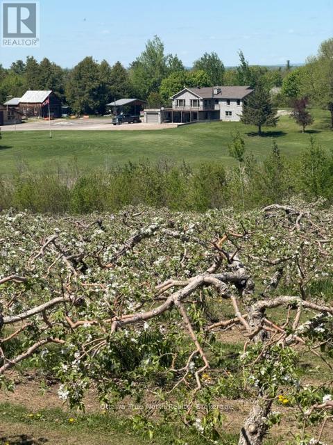 3376 Burnstown Road, Horton, Ontario  K7V 3Z9 - Photo 50 - X12938374