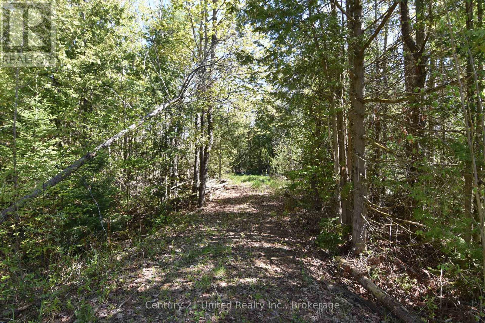 2682 N Steenburg Lake Road, Wollaston, Ontario  K0L 1P0 - Photo 2 - X13164430