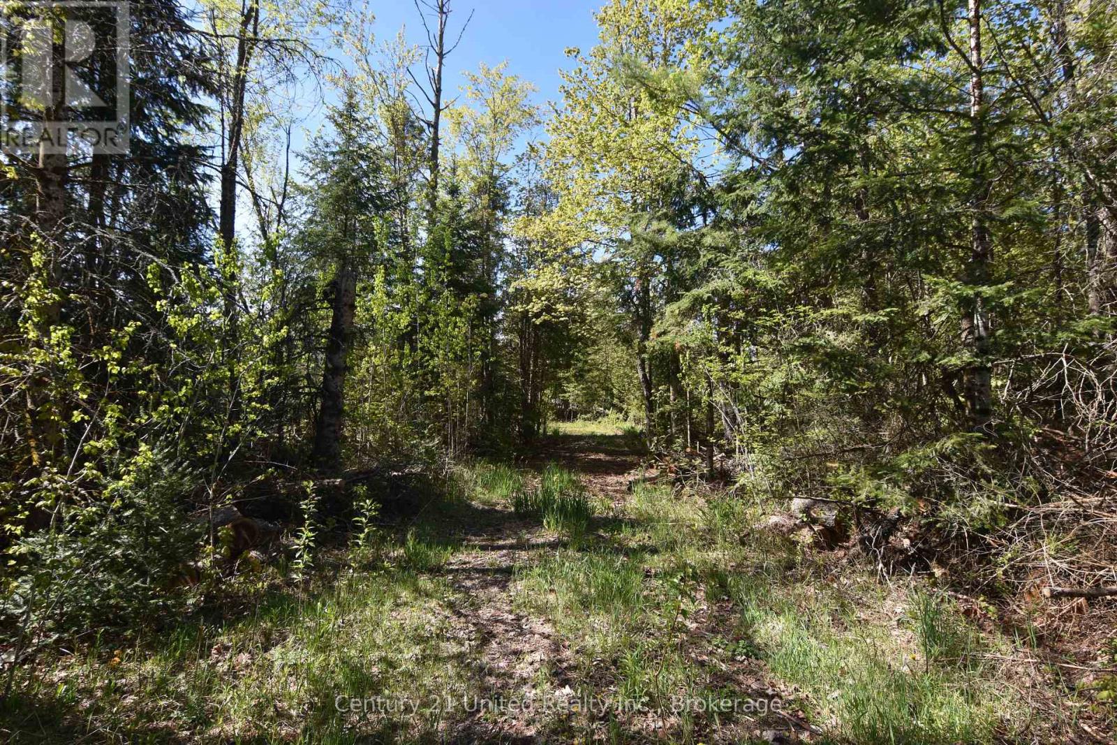 2682 N Steenburg Lake Road, Wollaston, Ontario  K0L 1P0 - Photo 8 - X13164430