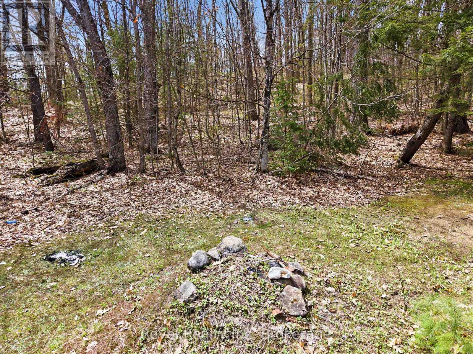 1163 Vankoughnet Road, Bracebridge, Ontario  P1L 1X1 - Photo 6 - X13161288
