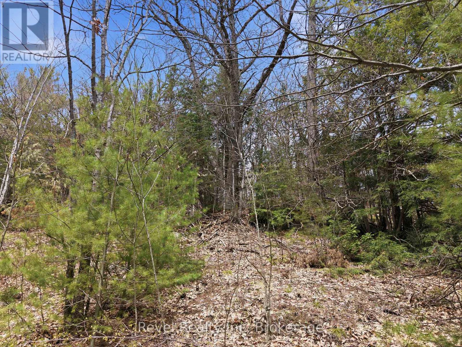1163 Vankoughnet Road, Bracebridge, Ontario  P1L 1X1 - Photo 8 - X13161288