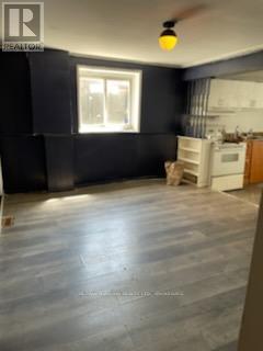 4541 Crysler Avenue, Niagara Falls, Ontario  L2E 3V5 - Photo 5 - X12797284