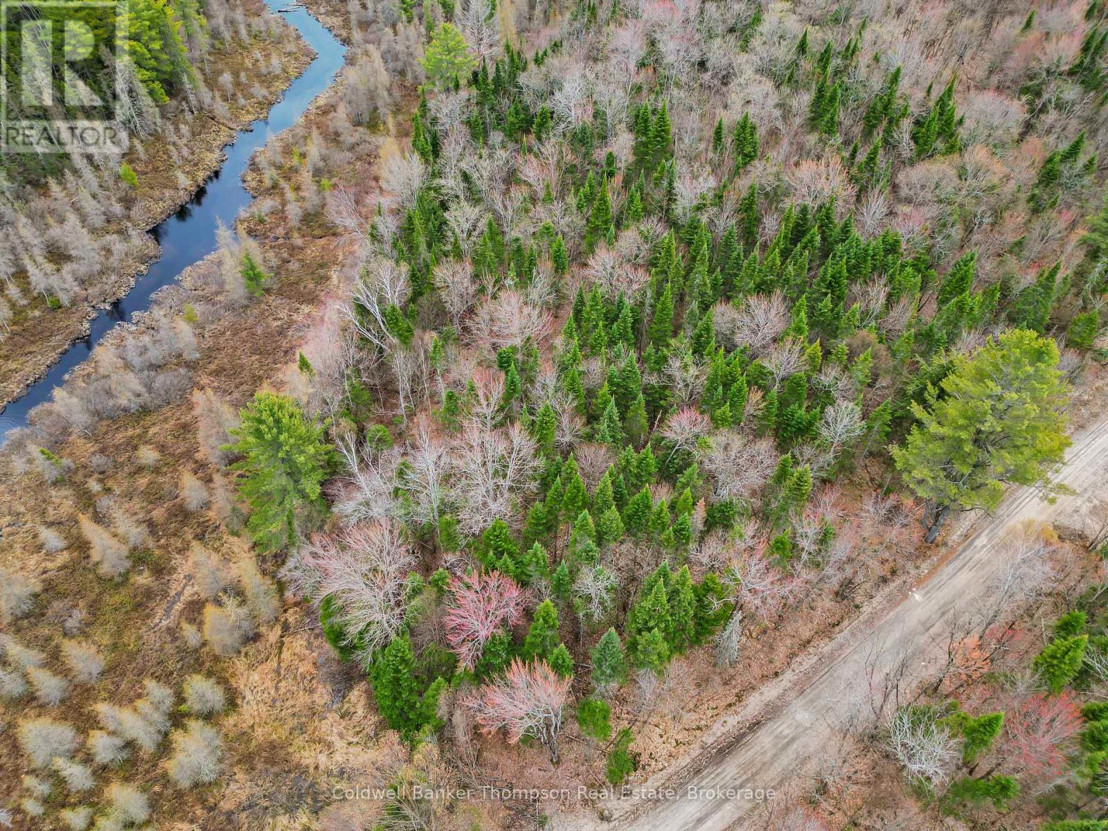 Part 3 Axe Lake Road, Mcmurrich/monteith, Ontario P0A 1Y0 - Photo 5 - X13164344