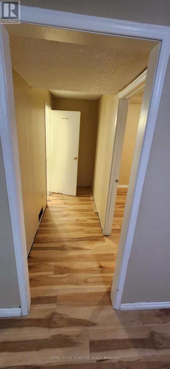 Bsmt - 133 Shawnee Circle, Toronto, Ontario  M2H 2Y3 - Photo 3 - C13164272