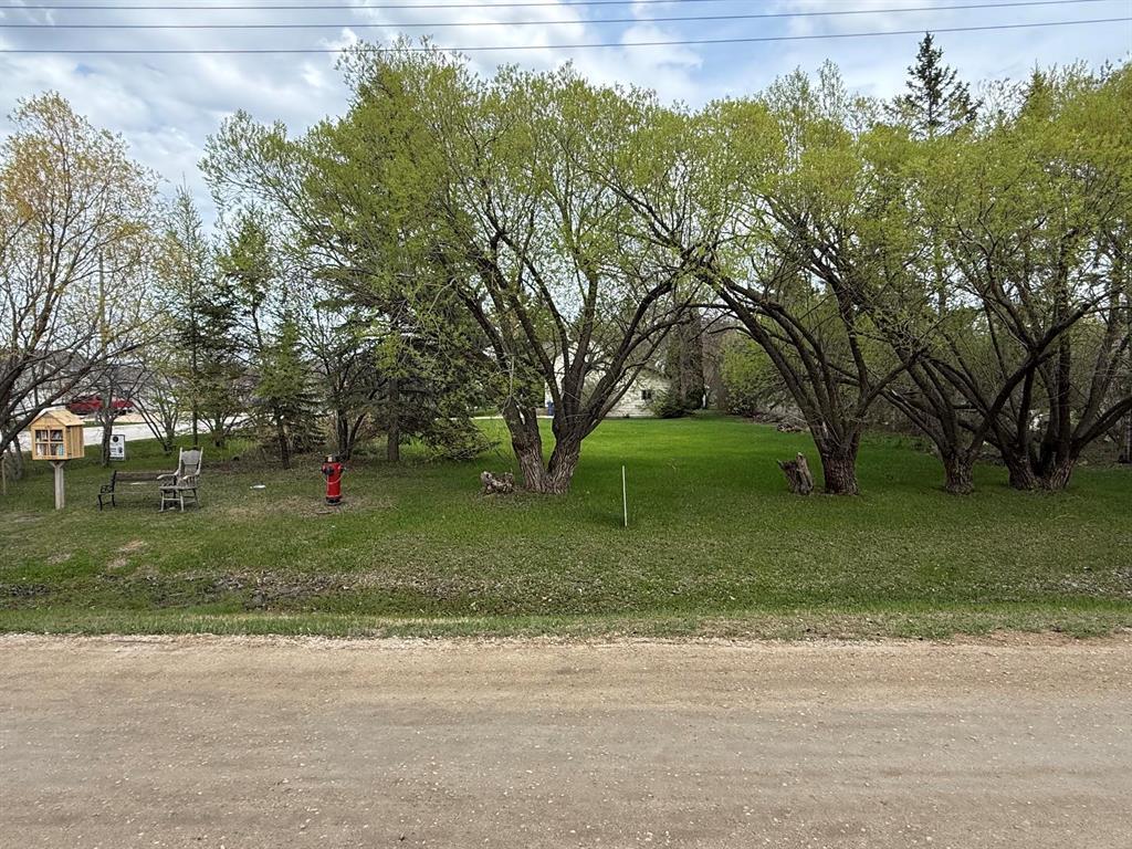 Lot 2 1st Avenue N, Landmark, Manitoba  R0A 0X0 - Photo 0 - 202611191