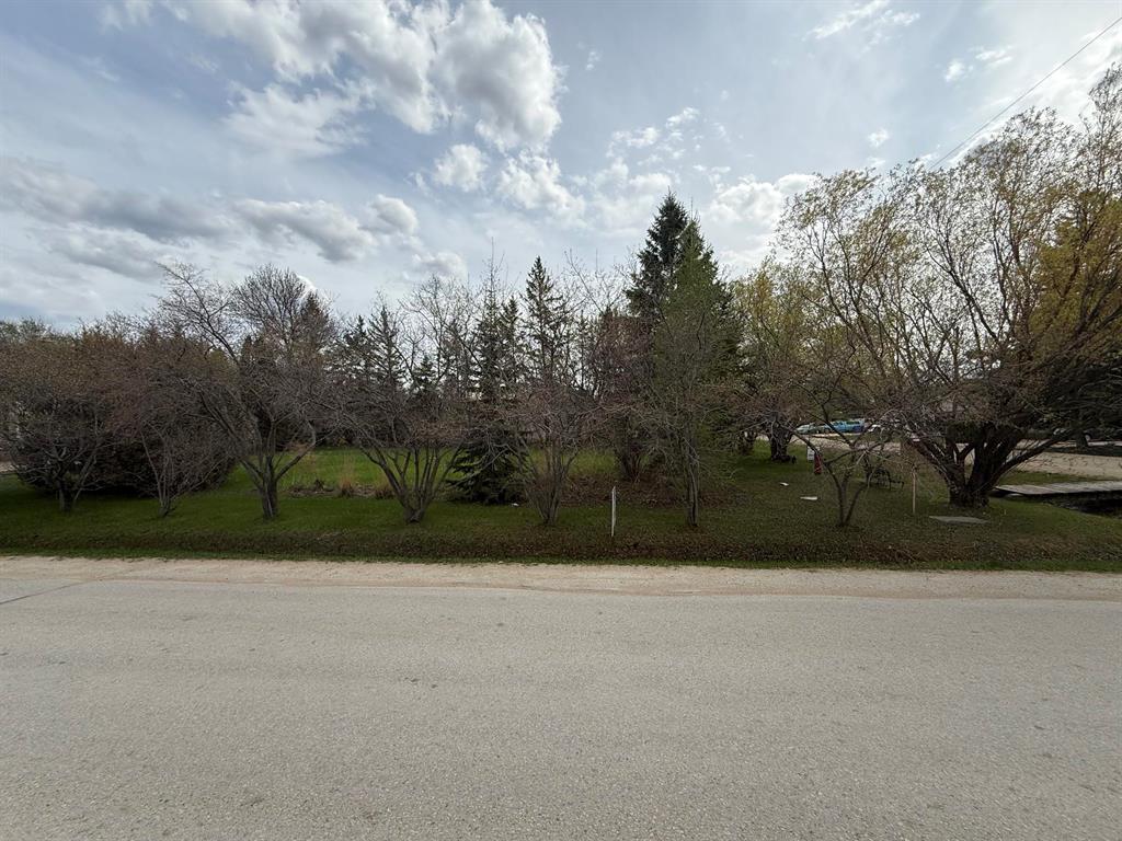 Lot 2 1st Avenue N, Landmark, Manitoba  R0A 0X0 - Photo 1 - 202611191