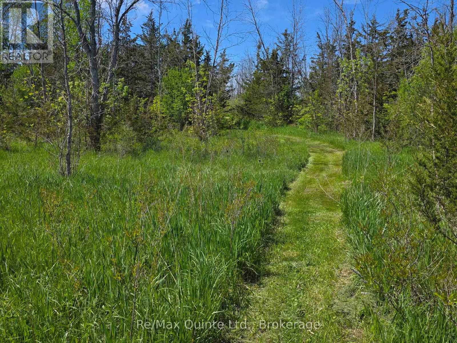 Across From 3904 Cty Rd 49, Prince Edward County, Ontario  K0K 2T0 - Photo 17 - X13163084