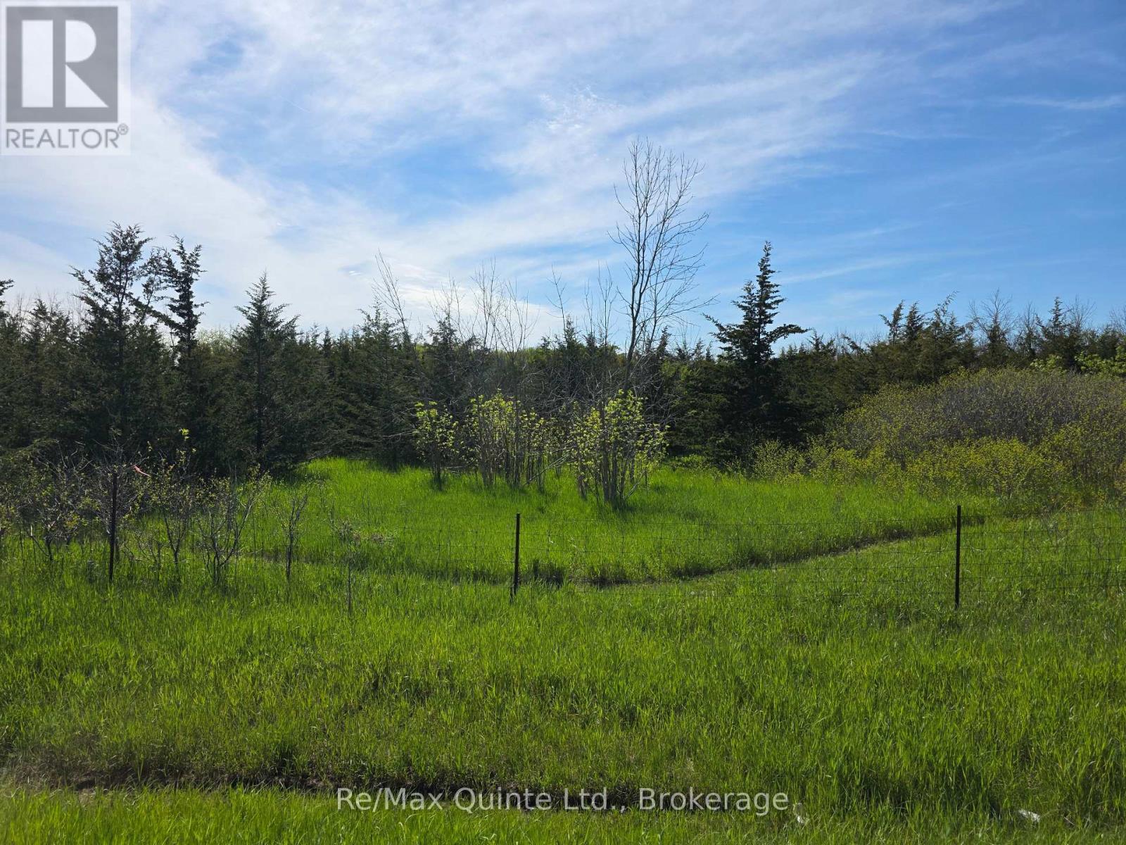 Across From 3904 Cty Rd 49, Prince Edward County, Ontario  K0K 2T0 - Photo 13 - X13163084