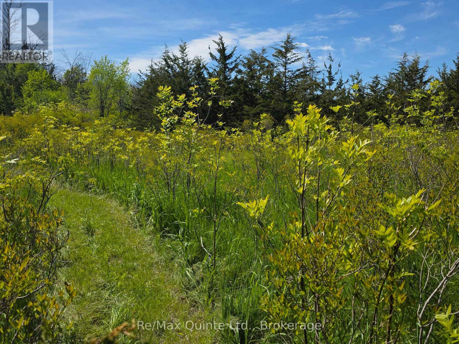 Across From 3904 Cty Rd 49, Prince Edward County, Ontario  K0K 2T0 - Photo 12 - X13163084