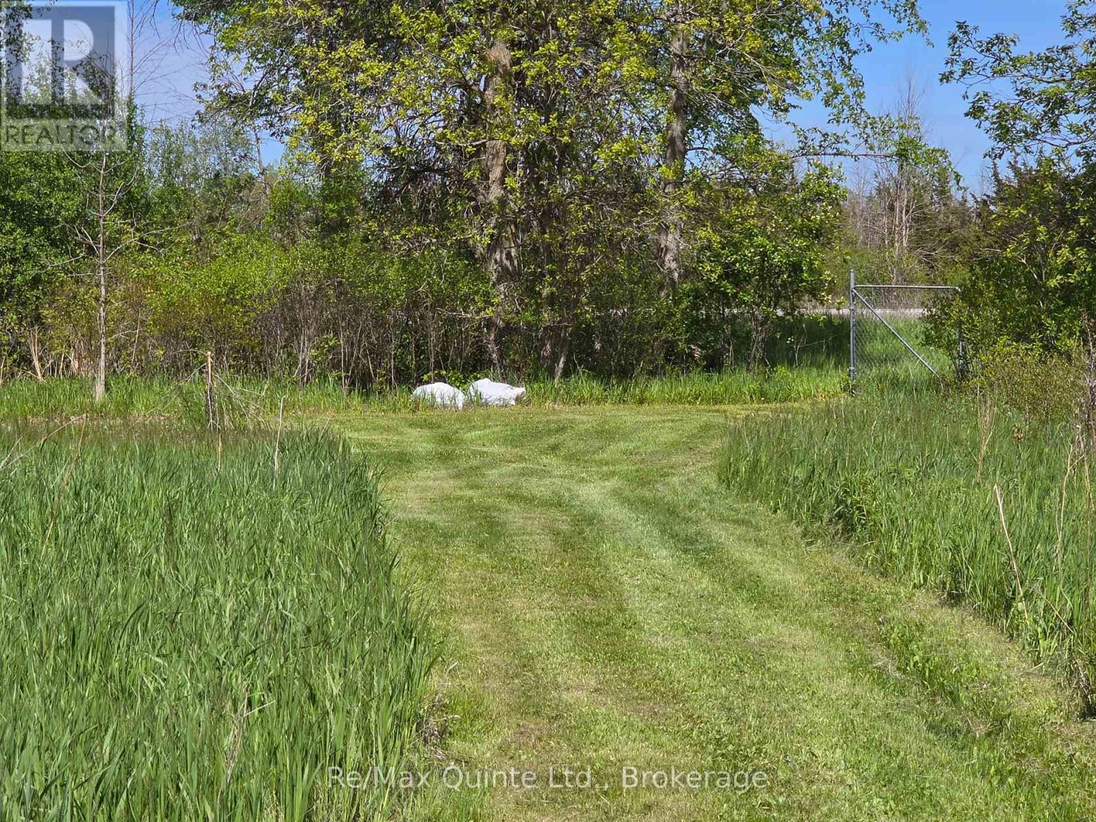 Across From 3904 Cty Rd 49, Prince Edward County, Ontario  K0K 2T0 - Photo 15 - X13163084