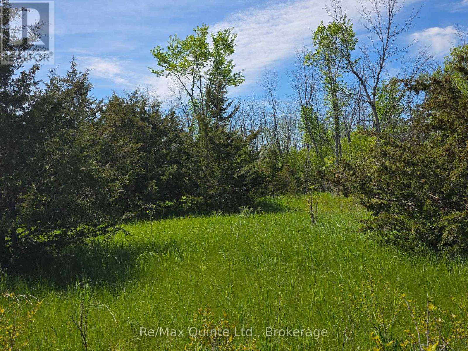 Across From 3904 Cty Rd 49, Prince Edward County, Ontario  K0K 2T0 - Photo 20 - X13163084