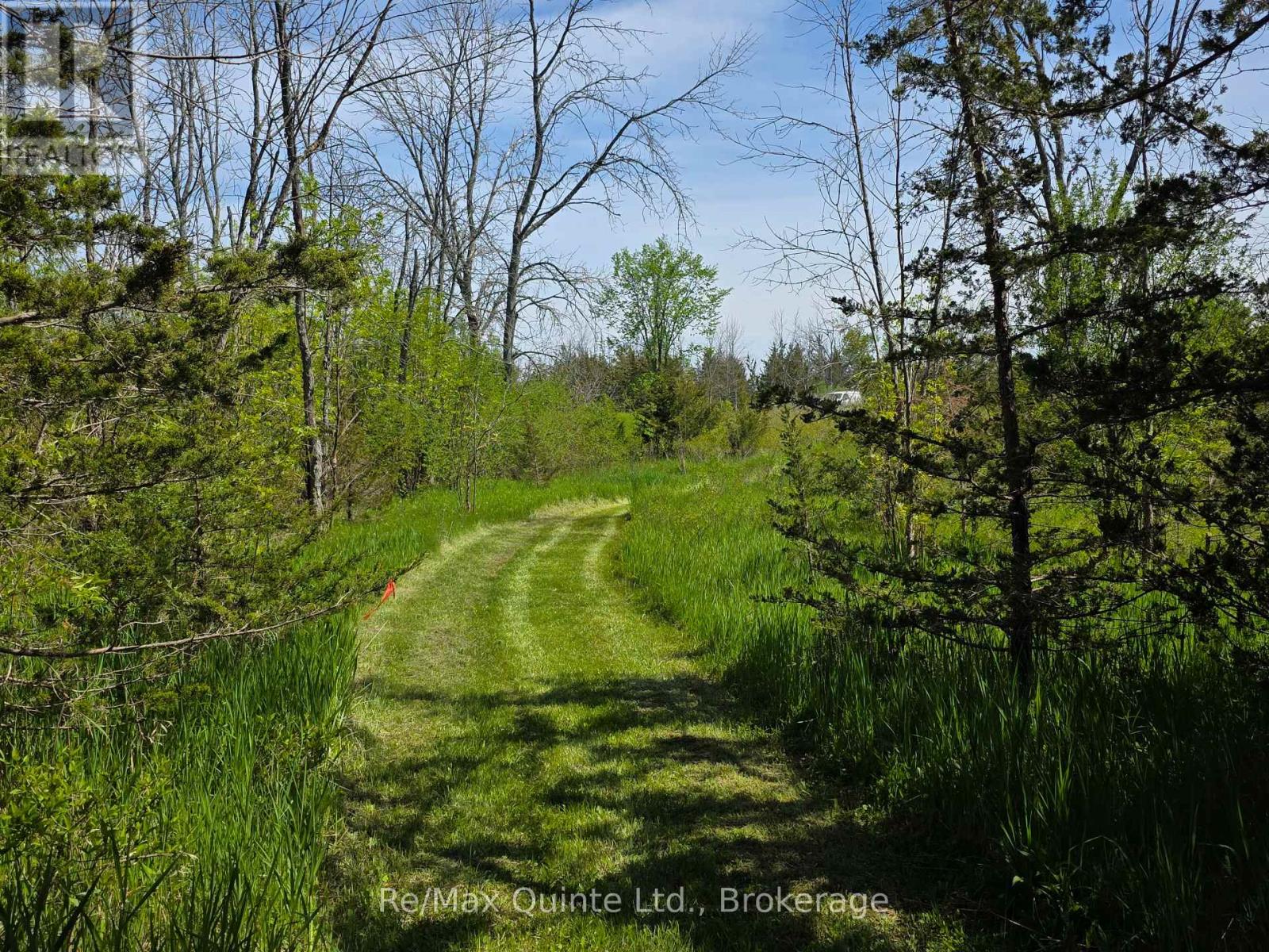 Across From 3904 Cty Rd 49, Prince Edward County, Ontario  K0K 2T0 - Photo 16 - X13163084