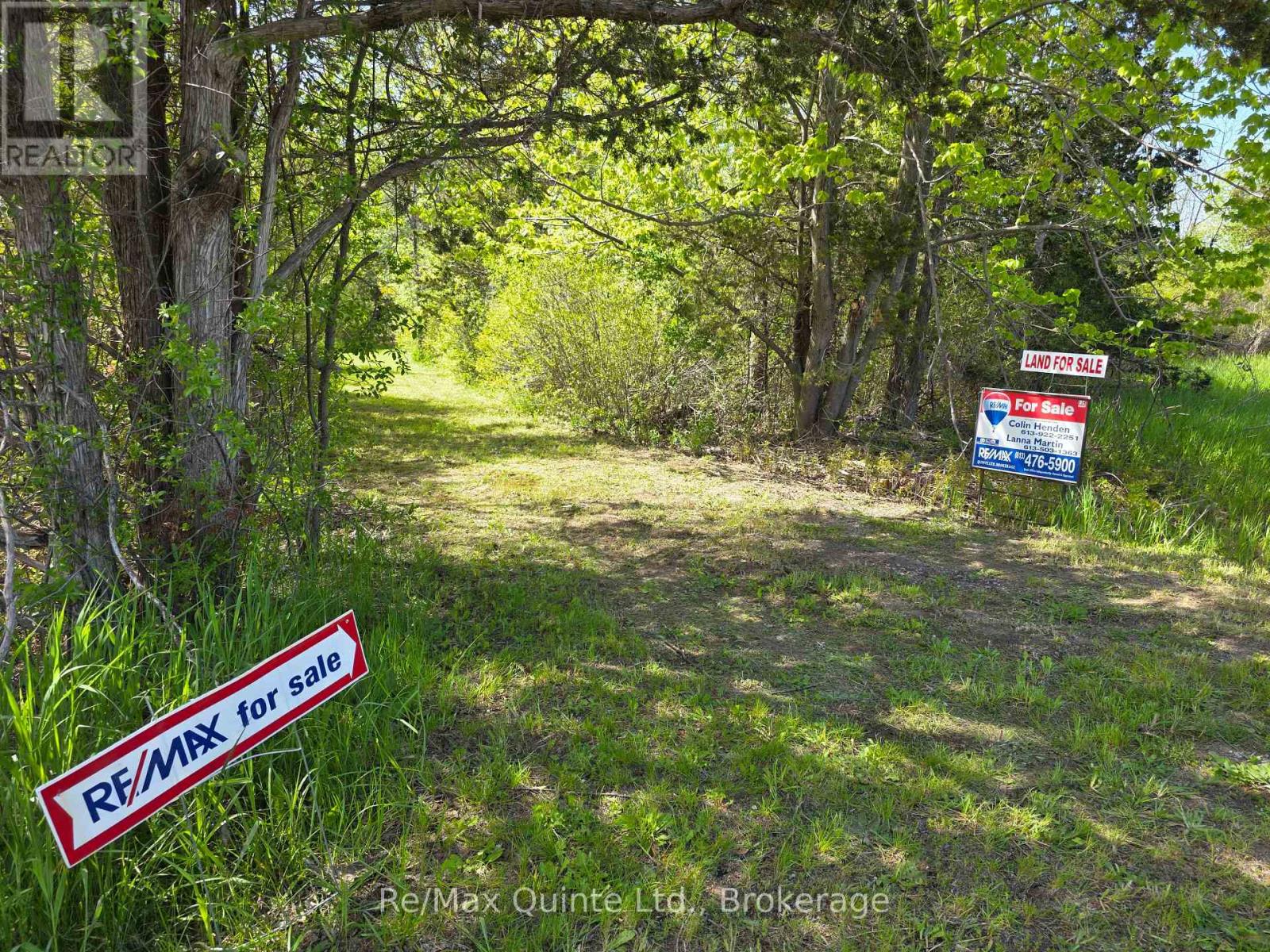 Across From 3904 Cty Rd 49, Prince Edward County, Ontario  K0K 2T0 - Photo 18 - X13163084