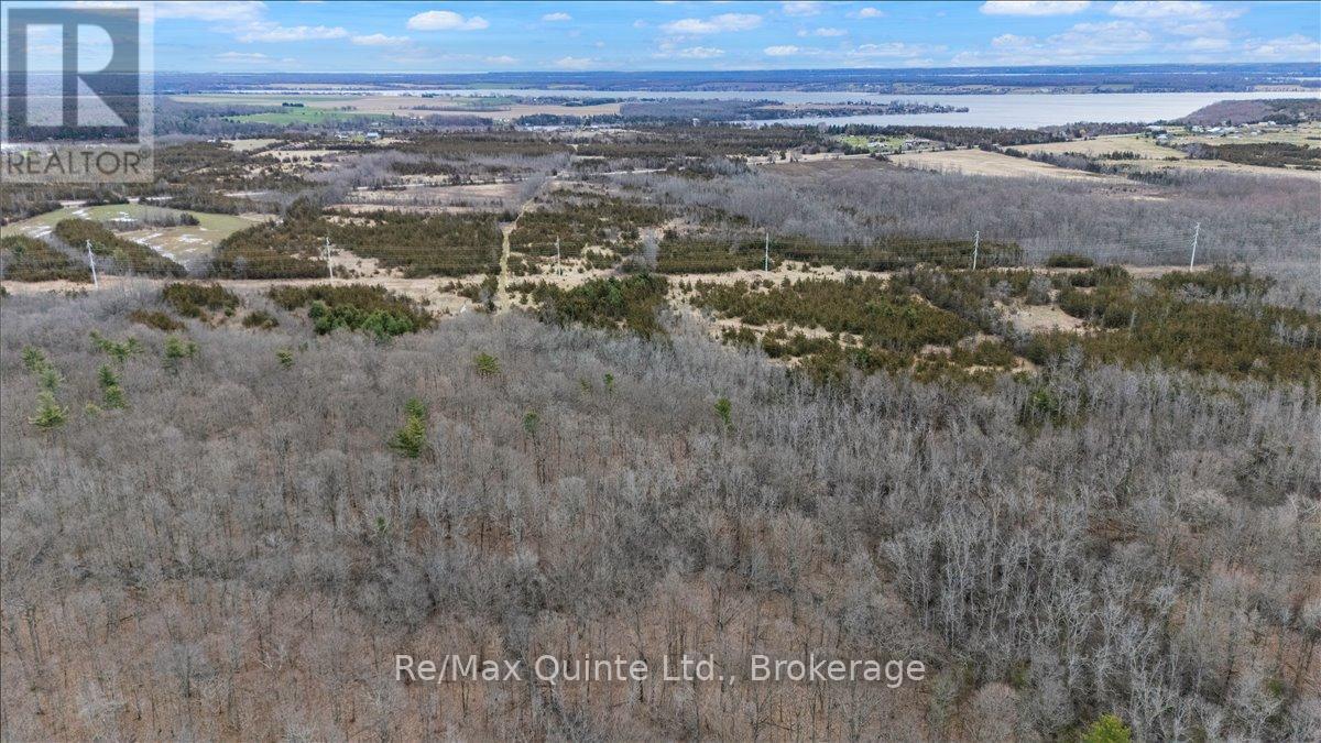 Across From 3904 Cty Rd 49, Prince Edward County, Ontario  K0K 2T0 - Photo 30 - X13163084