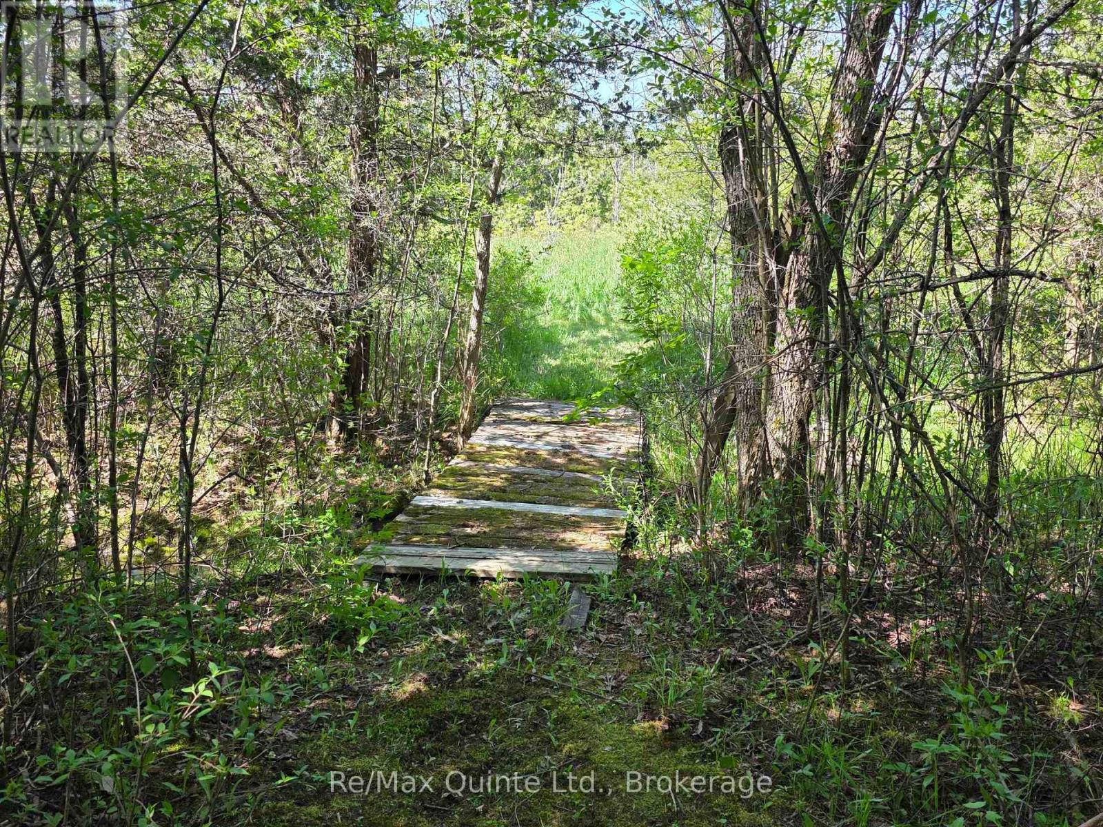 Across From 3904 Cty Rd 49, Prince Edward County, Ontario  K0K 2T0 - Photo 8 - X13163084