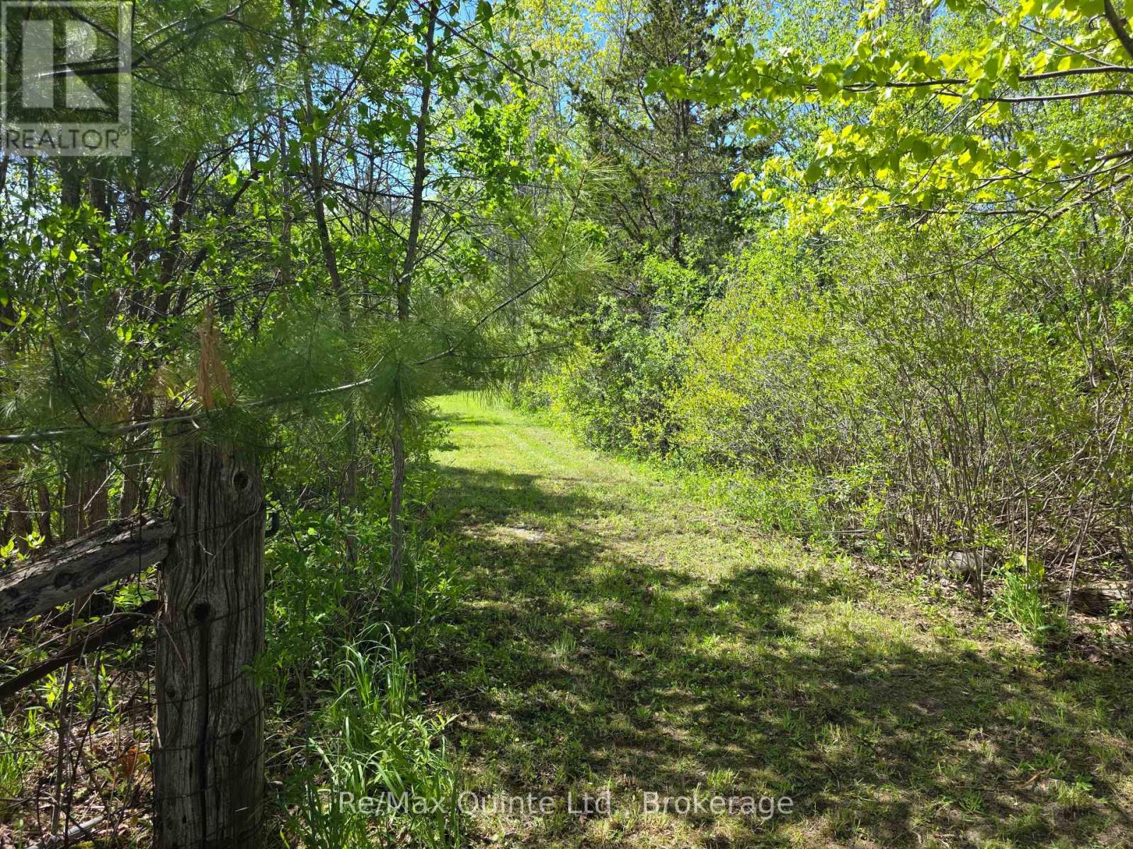 Across From 3904 Cty Rd 49, Prince Edward County, Ontario  K0K 2T0 - Photo 5 - X13163084