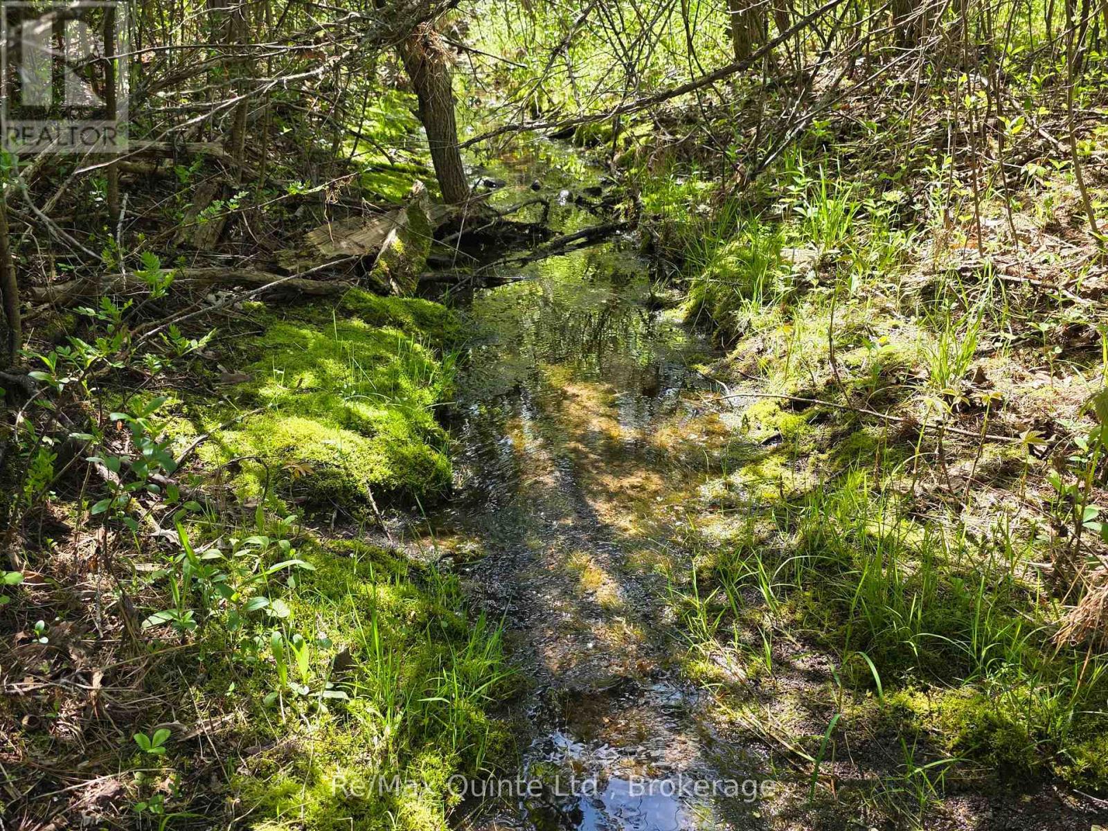 Across From 3904 Cty Rd 49, Prince Edward County, Ontario  K0K 2T0 - Photo 9 - X13163084