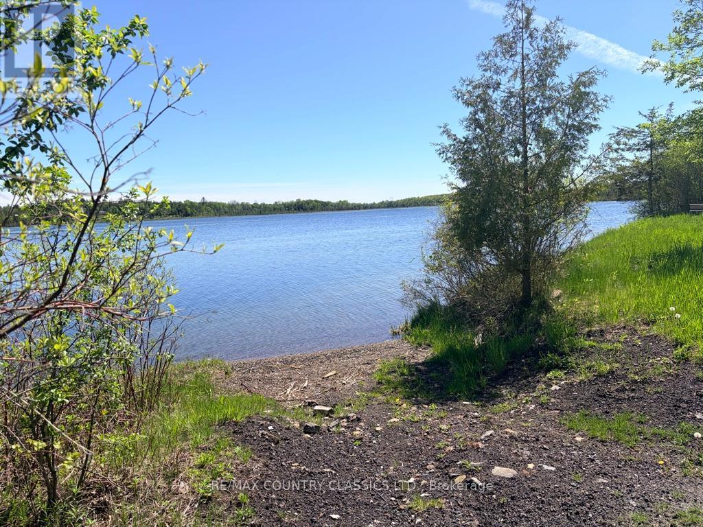 4166 Marlbank Road, Tweed, Ontario K0K 3J0 - Photo 3 - X12825890