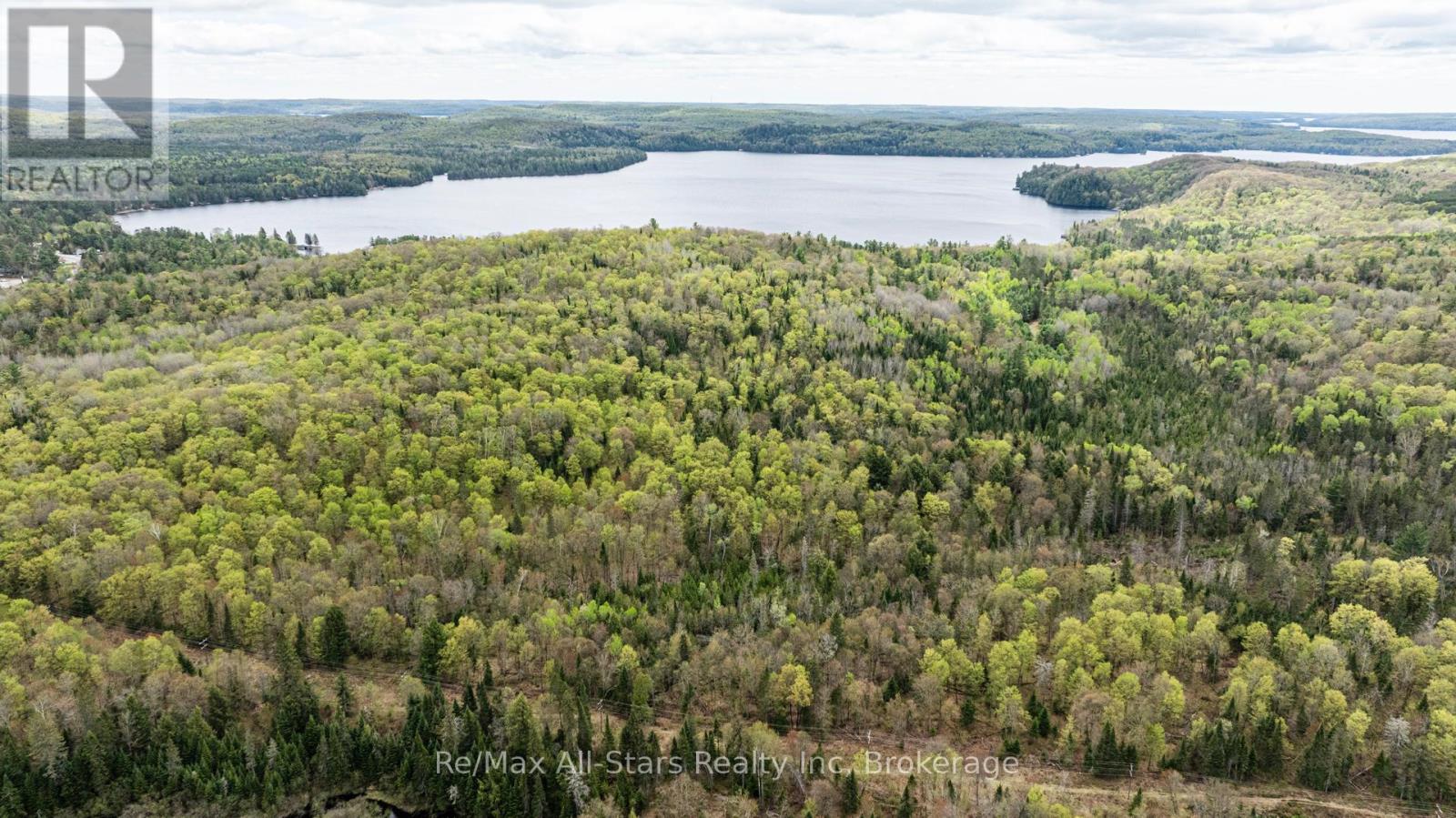 2797 Highway 60 Highway, Lake Of Bays, Ontario  P0A 1H0 - Photo 38 - X13161680