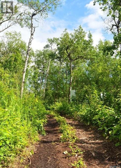 Lot 21 Block 10, Lake Lenore Rm No. 399, Saskatchewan  S0K 3V0 - Photo 21 - SK036897