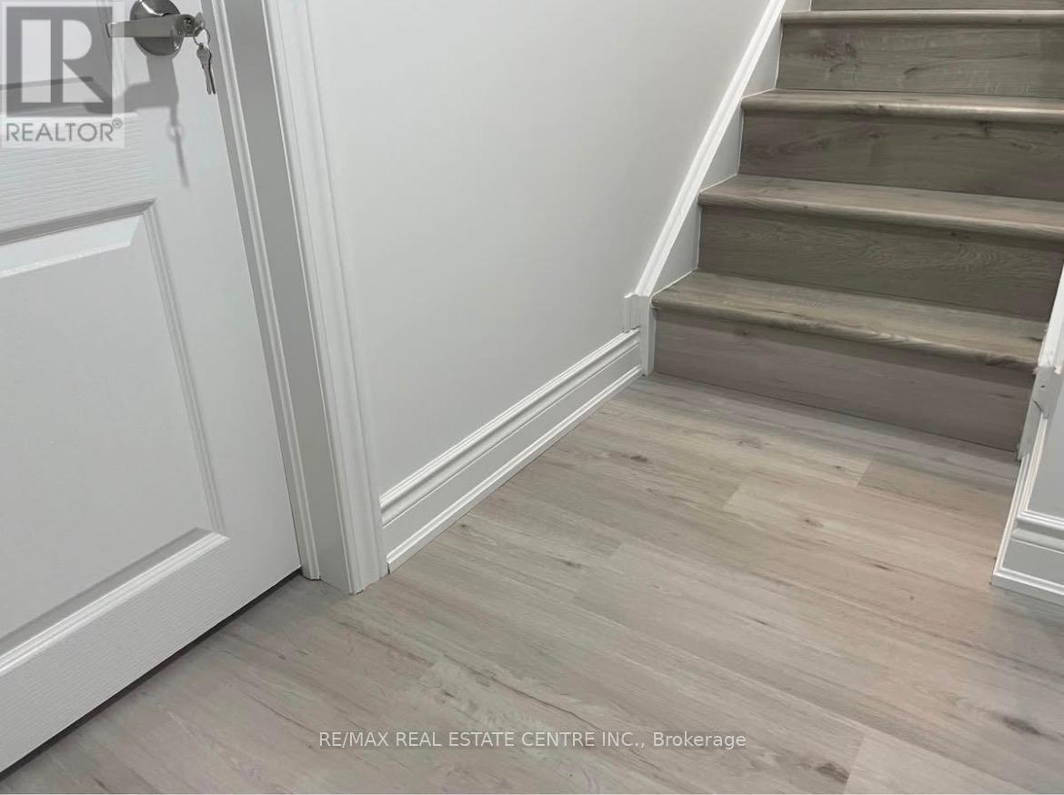 BSMNT - 7 BRANIGAN CRESCENT