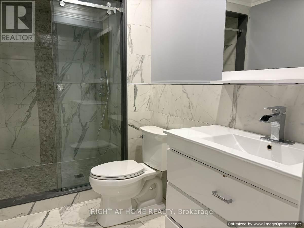 Lower - 571 Roselaire Trail, Mississauga, Ontario  L5R 2Z9 - Photo 11 - W13161762