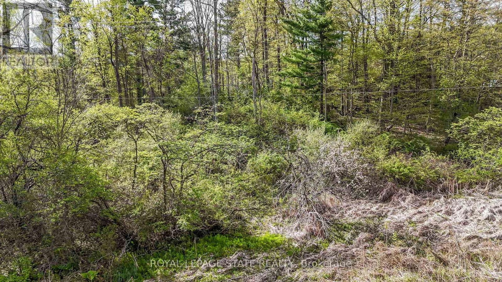 0 Mineral Springs Road, Hamilton, Ontario  L9G 4X1 - Photo 1 - X13161550