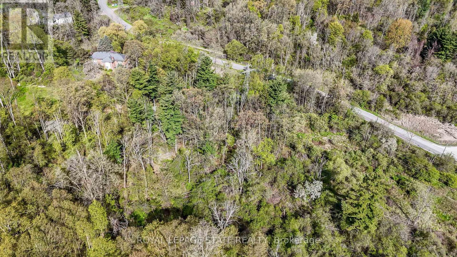 0 Mineral Springs Road, Hamilton, Ontario  L9G 4X1 - Photo 2 - X13161550