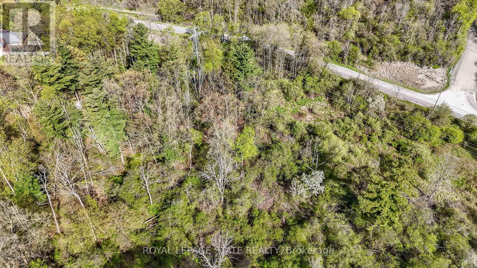 0 Mineral Springs Road, Hamilton, Ontario  L9G 4X1 - Photo 4 - X13161550
