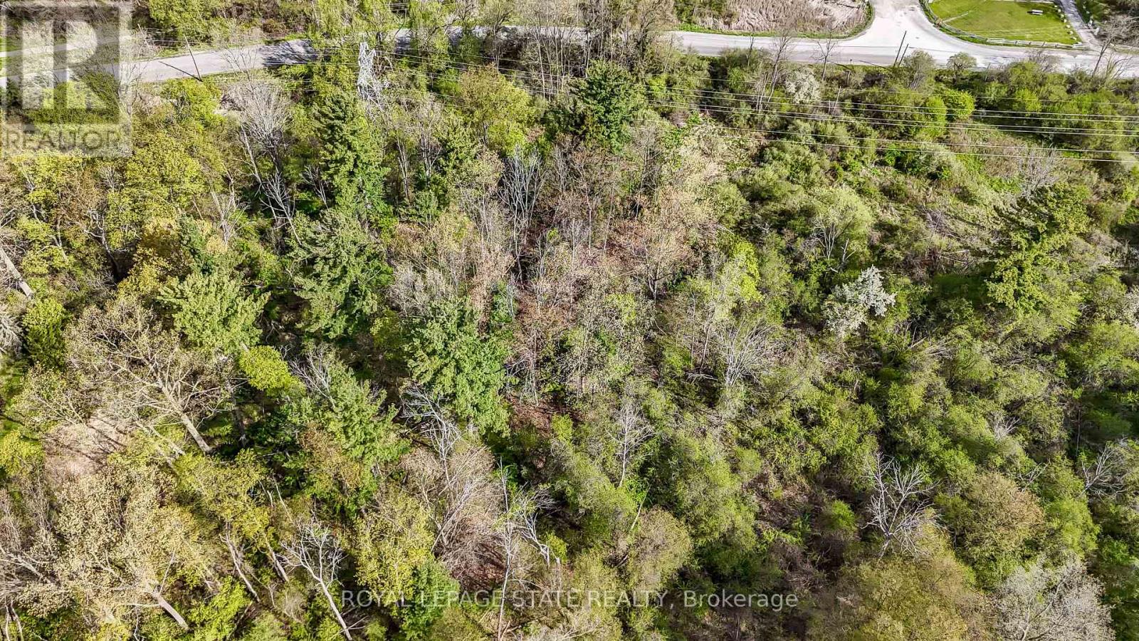 0 Mineral Springs Road, Hamilton, Ontario  L9G 4X1 - Photo 5 - X13161550