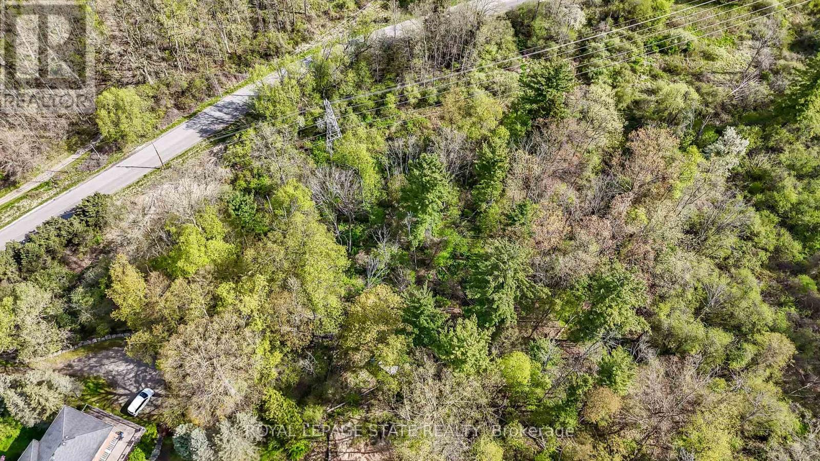 0 Mineral Springs Road, Hamilton, Ontario  L9G 4X1 - Photo 6 - X13161550