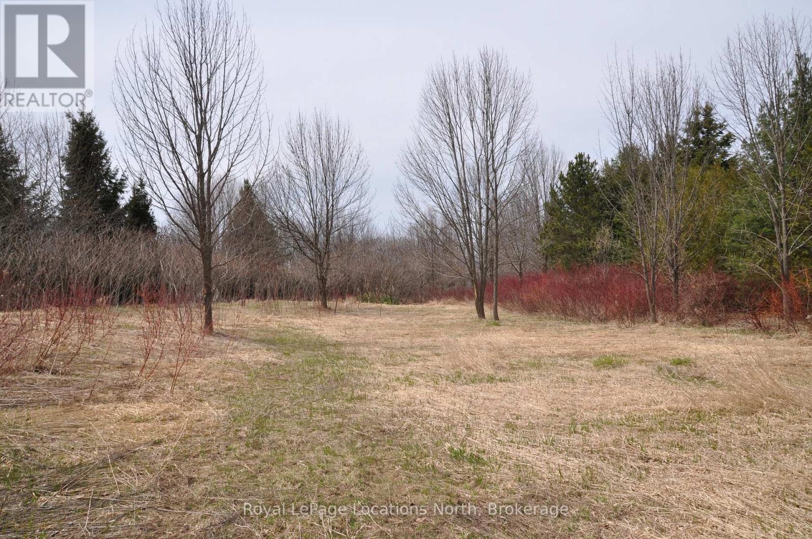 Ptlt 19 Con Broken Front Bayshore Road, Meaford, Ontario  N0H 1V0 - Photo 12 - X13164740