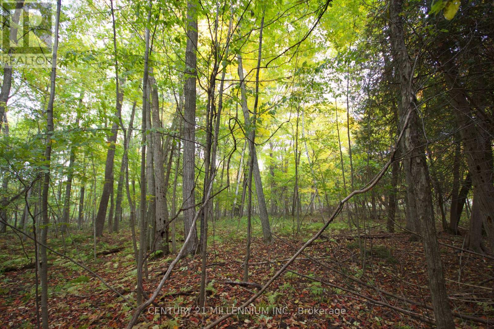 11 Knox Road E, Wasaga Beach, Ontario  L9Z 2T6 - Photo 10 - S13164158